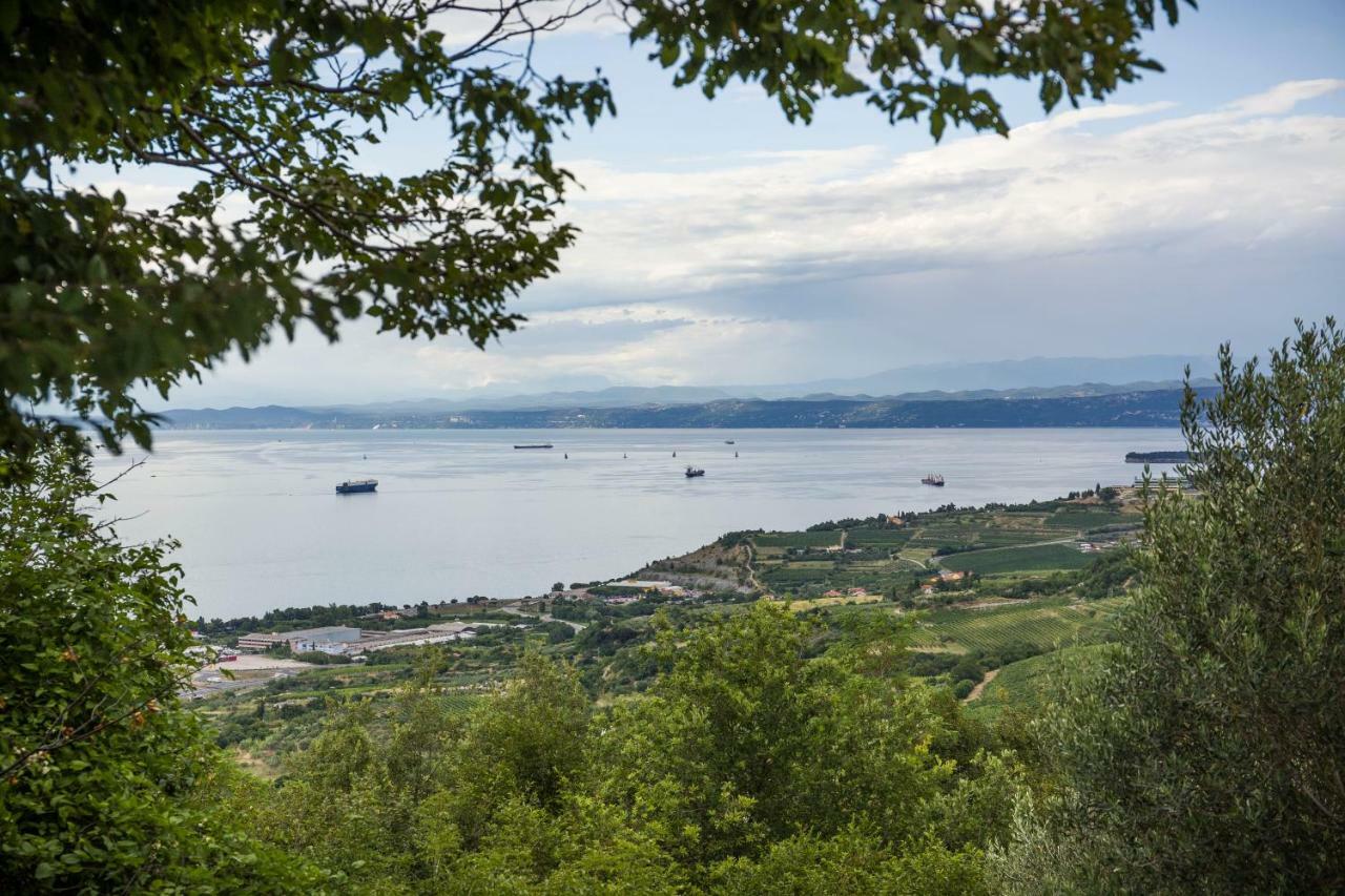 Apartments Baredi Izola Esterno foto